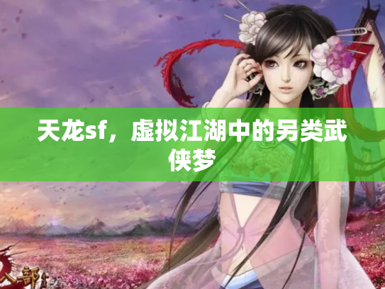 天龙sf，虚拟江湖中的另类武侠梦