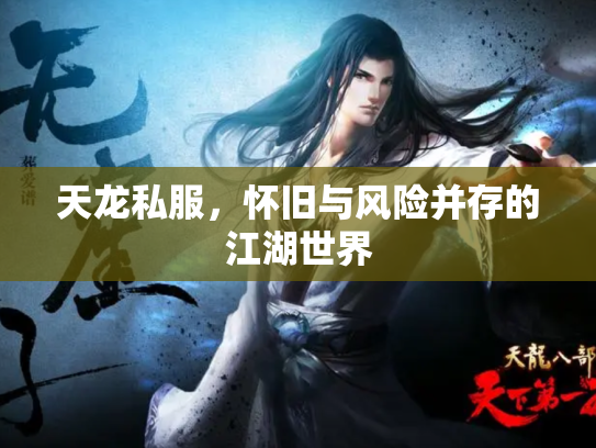 天龙私服，怀旧与风险并存的江湖世界