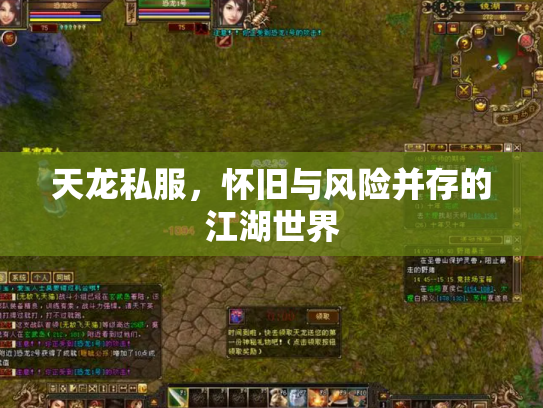 天龙私服，怀旧与风险并存的江湖世界