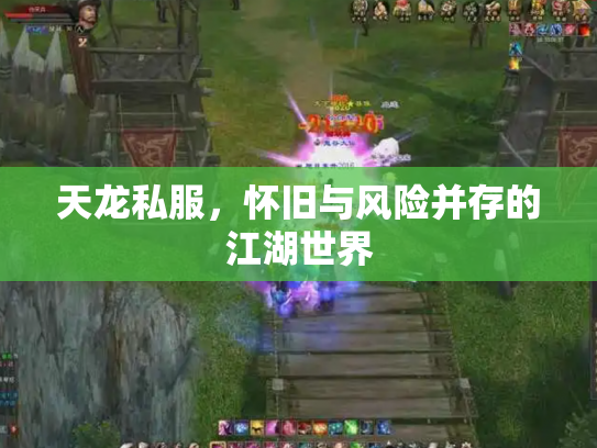 天龙私服，怀旧与风险并存的江湖世界