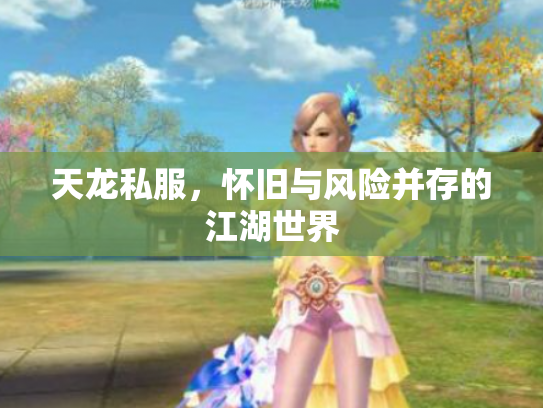 天龙私服，怀旧与风险并存的江湖世界