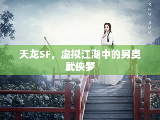 天龙SF，虚拟江湖中的另类武侠梦