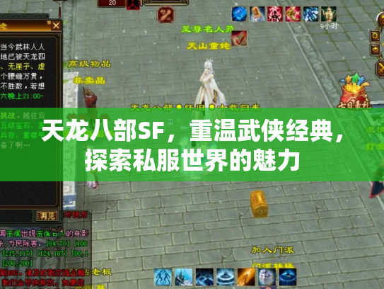 天龙八部SF，重温武侠经典，探索私服世界的魅力