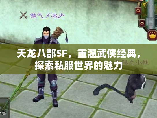 天龙八部SF，重温武侠经典，探索私服世界的魅力