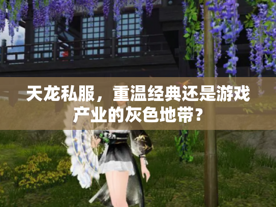 天龙私服，重温经典还是游戏产业的灰色地带？