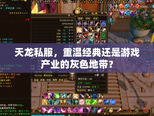 天龙私服，重温经典还是游戏产业的灰色地带？