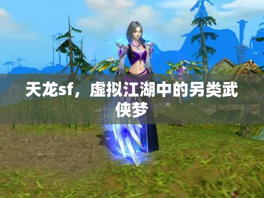 天龙sf，虚拟江湖中的另类武侠梦