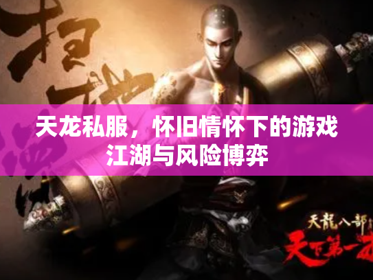 天龙私服，怀旧情怀下的游戏江湖与风险博弈
