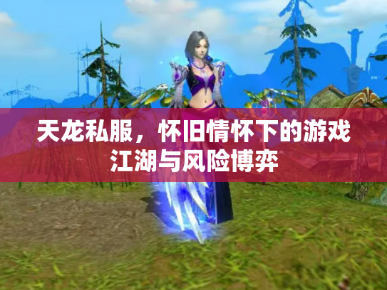 天龙私服，怀旧情怀下的游戏江湖与风险博弈