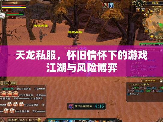 天龙私服，怀旧情怀下的游戏江湖与风险博弈