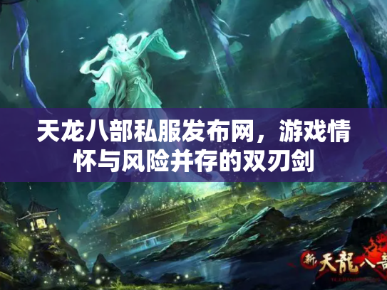 天龙八部私服发布网，游戏情怀与风险并存的双刃剑