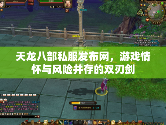 天龙八部私服发布网，游戏情怀与风险并存的双刃剑