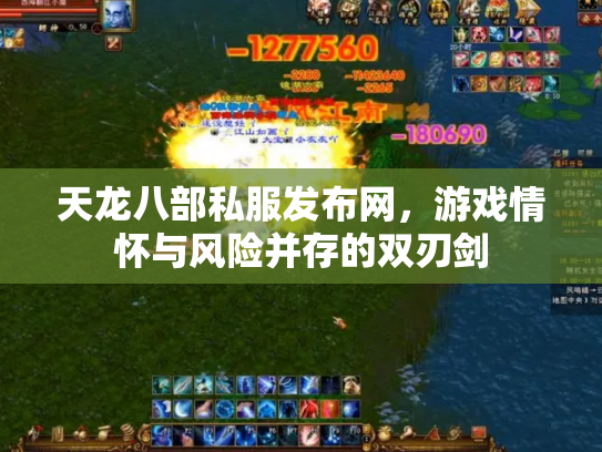 天龙八部私服发布网，游戏情怀与风险并存的双刃剑