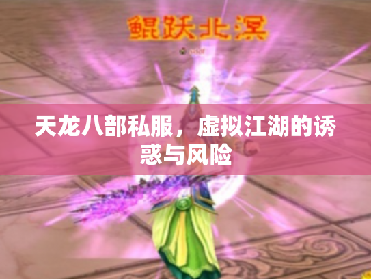 天龙八部私服，虚拟江湖的诱惑与风险