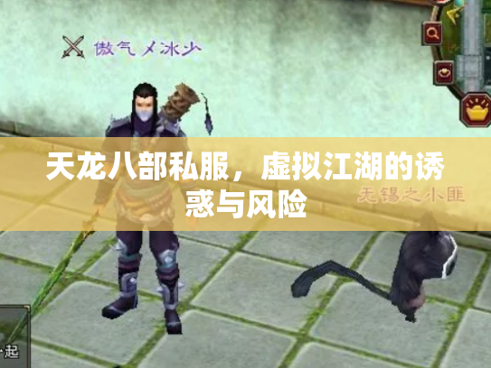 天龙八部私服，虚拟江湖的诱惑与风险