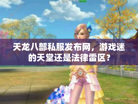 天龙八部私服发布网，游戏迷的天堂还是法律雷区？