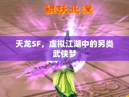天龙SF，虚拟江湖中的另类武侠梦