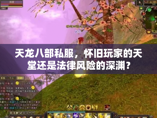 天龙八部私服，怀旧玩家的天堂还是法律风险的深渊？