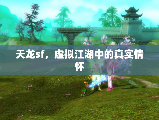 天龙sf，虚拟江湖中的真实情怀