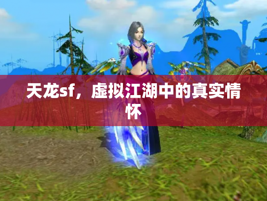天龙sf，虚拟江湖中的真实情怀
