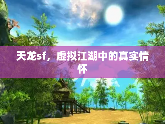 天龙sf，虚拟江湖中的真实情怀