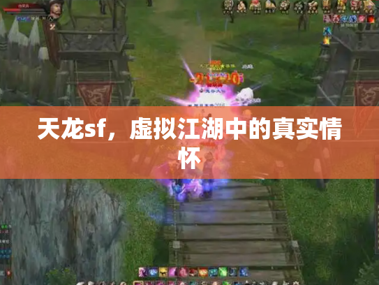 天龙sf，虚拟江湖中的真实情怀