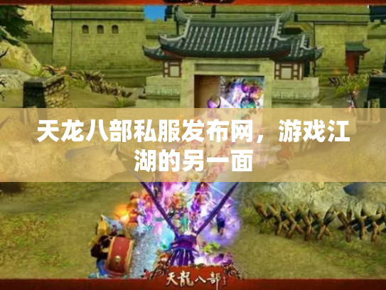 天龙八部私服发布网，游戏江湖的另一面