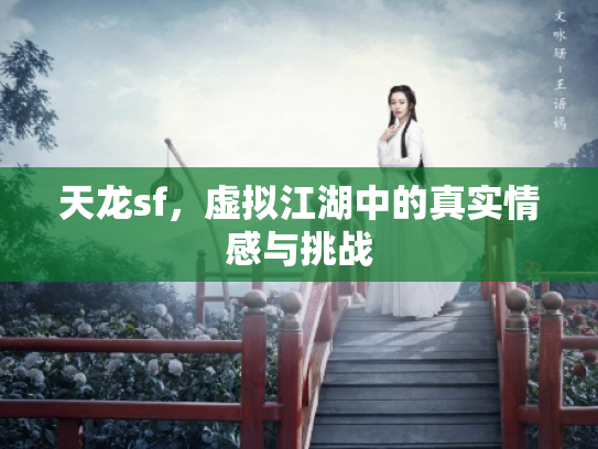 天龙sf，虚拟江湖中的真实情感与挑战