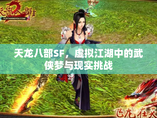 天龙八部SF，虚拟江湖中的武侠梦与现实挑战
