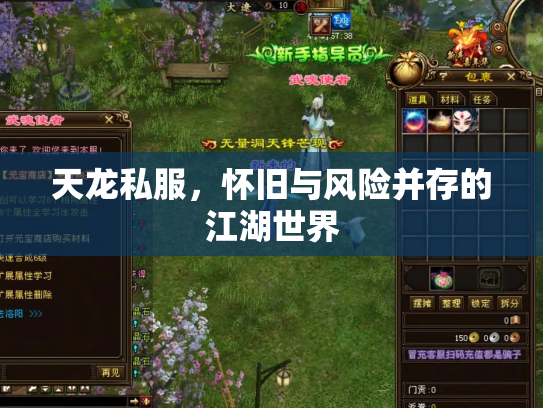 天龙私服，怀旧与风险并存的江湖世界
