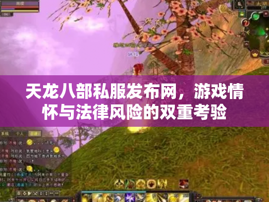 天龙八部私服发布网，游戏情怀与法律风险的双重考验