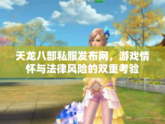 天龙八部私服发布网，游戏情怀与法律风险的双重考验