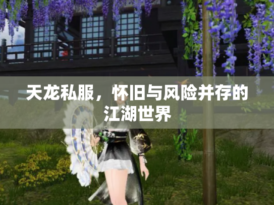 天龙私服，怀旧与风险并存的江湖世界