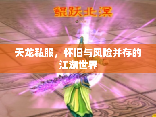 天龙私服，怀旧与风险并存的江湖世界