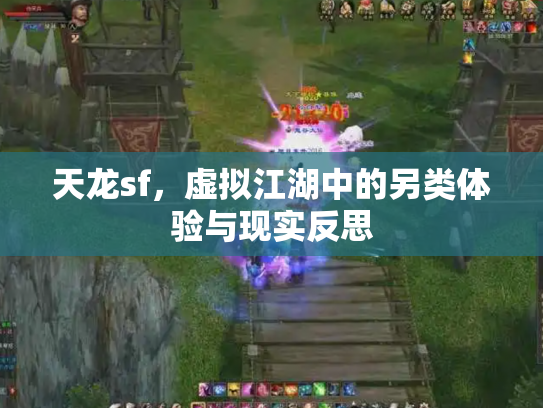 天龙sf，虚拟江湖中的另类体验与现实反思