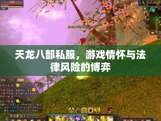 天龙八部私服，游戏情怀与法律风险的博弈