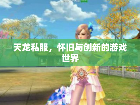 天龙私服，怀旧与创新的游戏世界