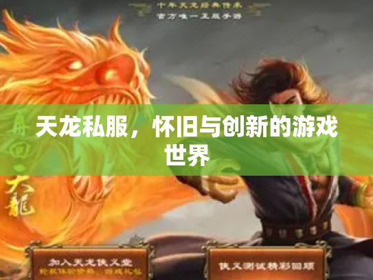 天龙私服，怀旧与创新的游戏世界