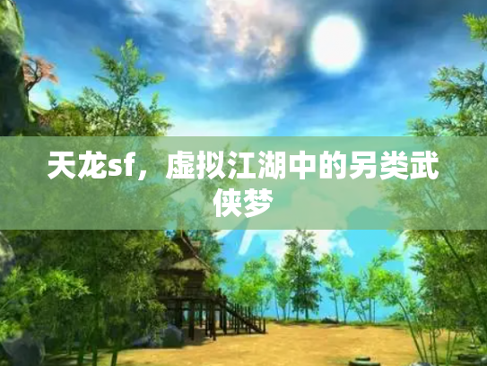 天龙sf，虚拟江湖中的另类武侠梦