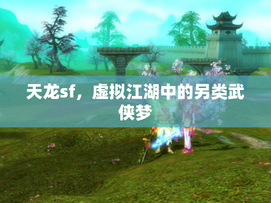 天龙sf，虚拟江湖中的另类武侠梦