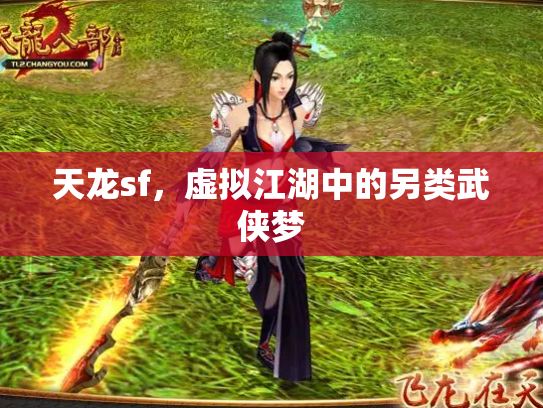 天龙sf，虚拟江湖中的另类武侠梦