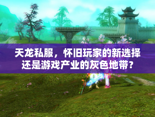 天龙私服，怀旧玩家的新选择还是游戏产业的灰色地带？