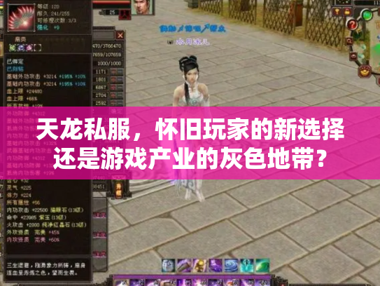 天龙私服，怀旧玩家的新选择还是游戏产业的灰色地带？