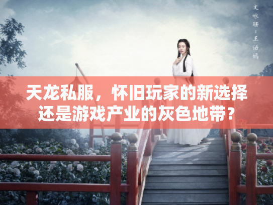 天龙私服，怀旧玩家的新选择还是游戏产业的灰色地带？