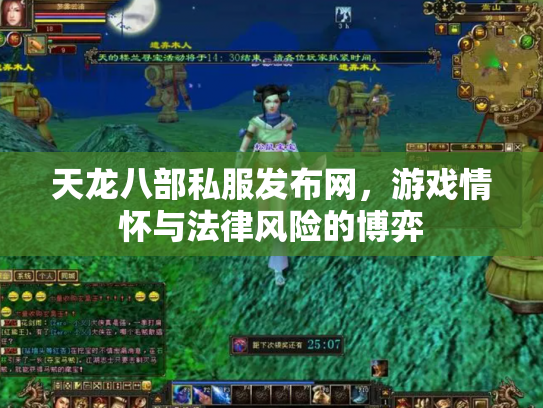 天龙八部私服发布网，游戏情怀与法律风险的博弈