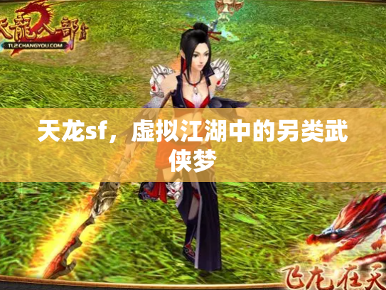 天龙sf，虚拟江湖中的另类武侠梦