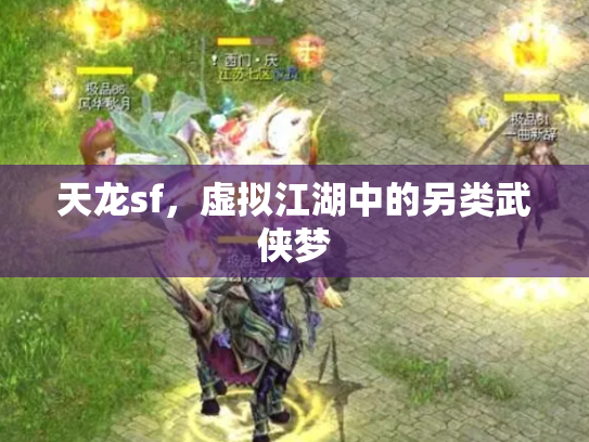 天龙sf，虚拟江湖中的另类武侠梦