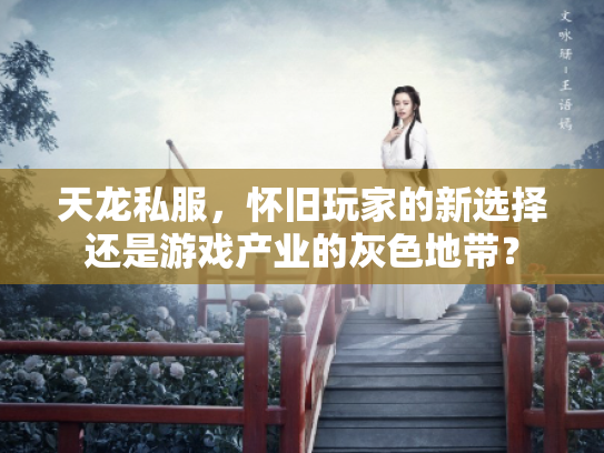 天龙私服，怀旧玩家的新选择还是游戏产业的灰色地带？
