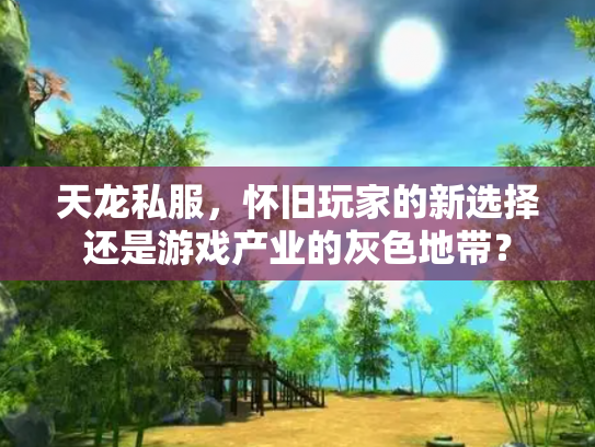 天龙私服，怀旧玩家的新选择还是游戏产业的灰色地带？
