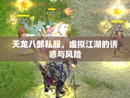 天龙八部私服，虚拟江湖的诱惑与风险